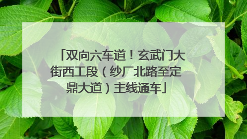 双向六车道！玄武门大街西工段（纱厂北路至定鼎大道）主线通车