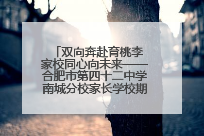 双向奔赴育桃李 家校同心向未来——合肥市第四十二中学南城分校家长学校期末总结会圆满召开