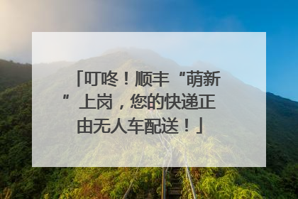 叮咚！顺丰“萌新”上岗，您的快递正由无人车配送！