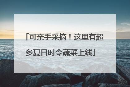 可亲手采摘！这里有超多夏日时令蔬菜上线