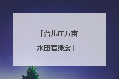 台儿庄万亩水田着绿裳