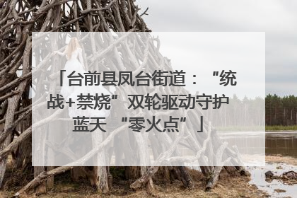 台前县凤台街道：“统战+禁烧”双轮驱动守护蓝天 “零火点”