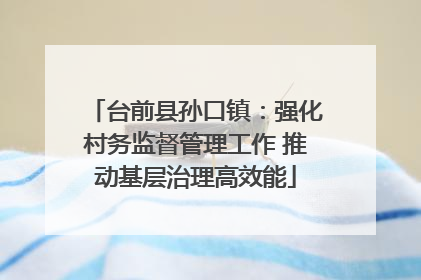 台前县孙口镇：强化村务监督管理工作 推动基层治理高效能