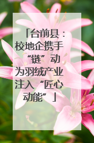 台前县：校地企携手“链”动 为羽绒产业注入“匠心动能”