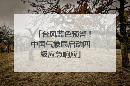 台风蓝色预警！中国气象局启动四级应急响应
