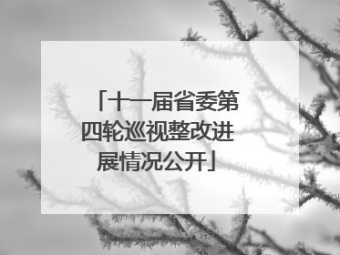 十一届省委第四轮巡视整改进展情况公开