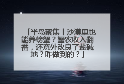 半岛聚焦丨沙漠里也能养螃蟹？蟹农收入翻番，还意外改良了盐碱地？咋做到的？