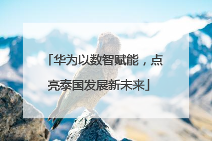 华为以数智赋能，点亮泰国发展新未来