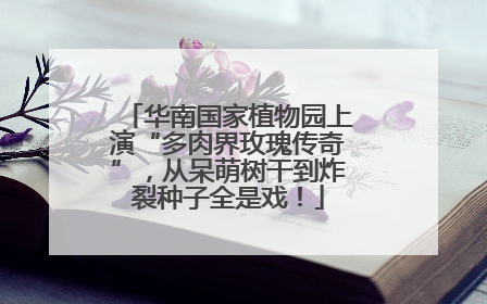 华南国家植物园上演“多肉界玫瑰传奇”，从呆萌树干到炸裂种子全是戏！
