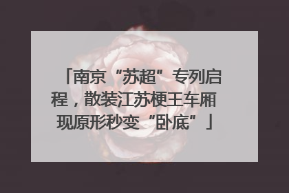 南京“苏超”专列启程，散装江苏梗王车厢现原形秒变“卧底”