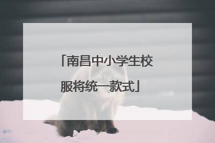 南昌中小学生校服将统一款式