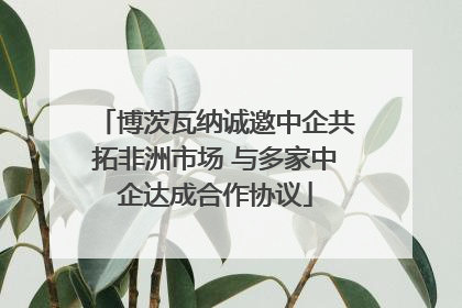博茨瓦纳诚邀中企共拓非洲市场 与多家中企达成合作协议
