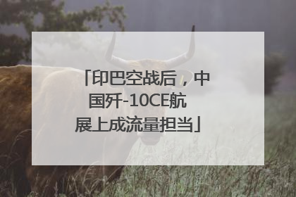 印巴空战后，中国歼-10CE航展上成流量担当