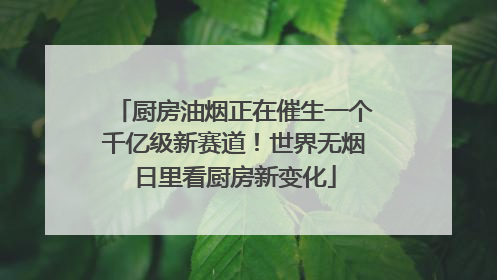 厨房油烟正在催生一个千亿级新赛道！世界无烟日里看厨房新变化