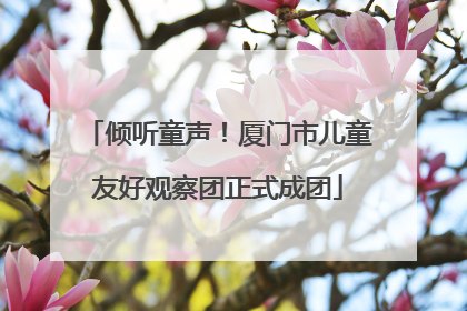 倾听童声！厦门市儿童友好观察团正式成团