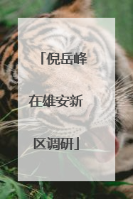 倪岳峰在雄安新区调研