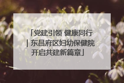党建引领 健康同行｜东昌府区妇幼保健院开启共建新篇章