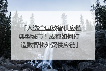入选全国数智供应链典型城市！成都如何打造数智化外贸供应链