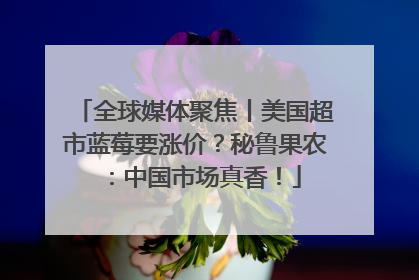 全球媒体聚焦丨美国超市蓝莓要涨价？秘鲁果农：中国市场真香！