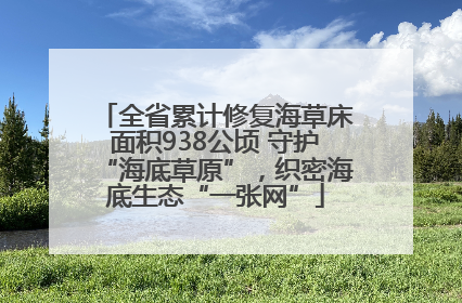 全省累计修复海草床面积938公顷 守护“海底草原”，织密海底生态“一张网”