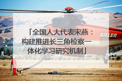 全国人大代表宋燕：构建推进长三角检察一体化学习研究机制