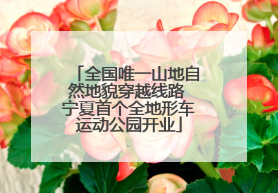 全国唯一山地自然地貌穿越线路 宁夏首个全地形车运动公园开业