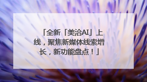全新「美洽AI」上线，聚焦新媒体线索增长，新功能盘点！