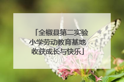 全椒县第二实验小学劳动教育基地收获成长与快乐