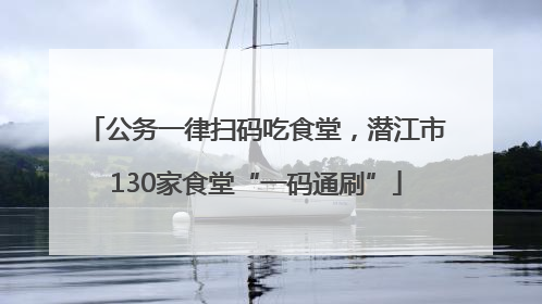 公务一律扫码吃食堂，潜江市130家食堂“一码通刷”