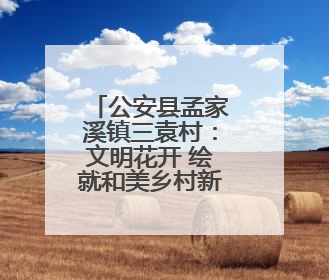 公安县孟家溪镇三袁村：文明花开 绘就和美乡村新画卷