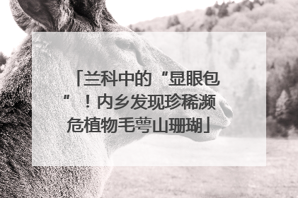 兰科中的“显眼包”！内乡发现珍稀濒危植物毛萼山珊瑚