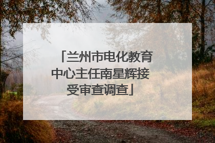 兰州市电化教育中心主任南星辉接受审查调查