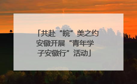 共赴“皖”美之约 安徽开展“青年学子安徽行”活动