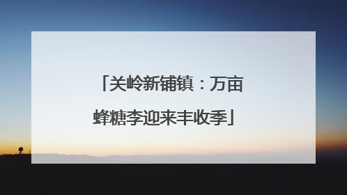关岭新铺镇：万亩蜂糖李迎来丰收季