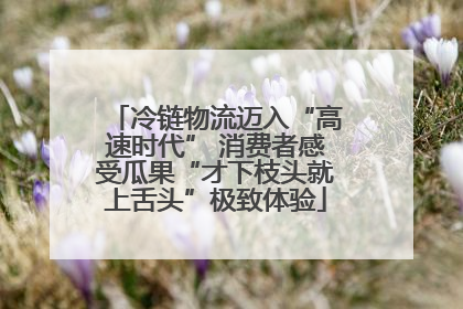 冷链物流迈入“高速时代” 消费者感受瓜果“才下枝头就上舌头”极致体验