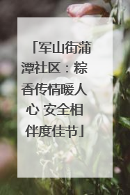 军山街蒲潭社区：粽香传情暖人心 安全相伴度佳节