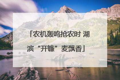 农机轰鸣抢农时 湖滨“开镰”麦飘香