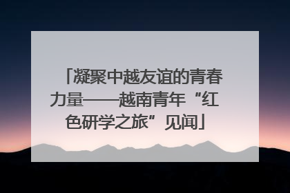 凝聚中越友谊的青春力量——越南青年“红色研学之旅”见闻