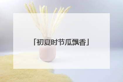 初夏时节瓜飘香