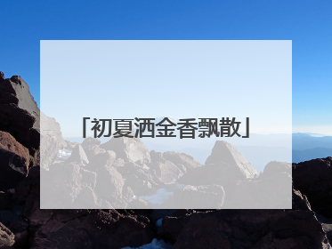 初夏洒金香飘散