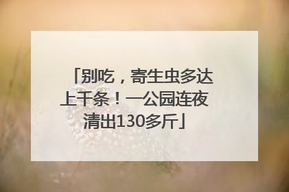 别吃，寄生虫多达上千条！一公园连夜清出130多斤