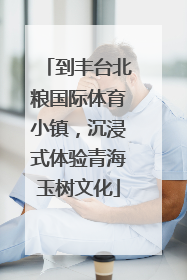 到丰台北粮国际体育小镇，沉浸式体验青海玉树文化