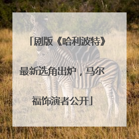 剧版《哈利波特》最新选角出炉，马尔福饰演者公开