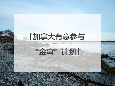 加拿大有意参与“金穹”计划