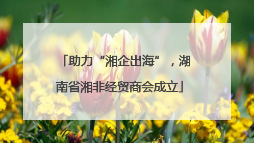 助力“湘企出海”，湖南省湘非经贸商会成立