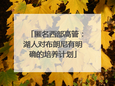 匿名西部高管：湖人对布朗尼有明确的培养计划
