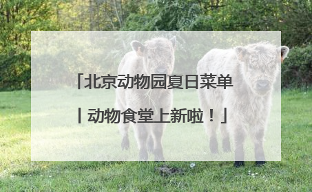 北京动物园夏日菜单丨动物食堂上新啦！