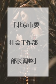 北京市委社会工作部部长调整
