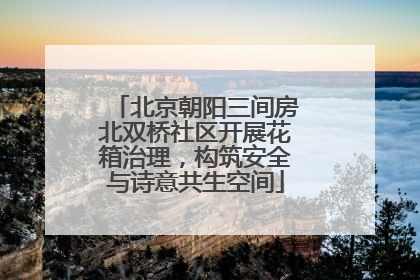 北京朝阳三间房北双桥社区开展花箱治理，构筑安全与诗意共生空间