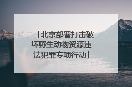 北京部署打击破坏野生动物资源违法犯罪专项行动